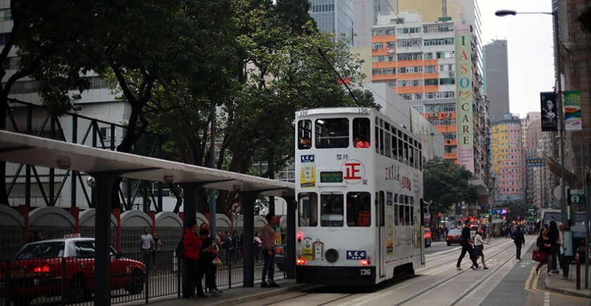 (c) Bianca Gusenbauer-Hoppe (4)