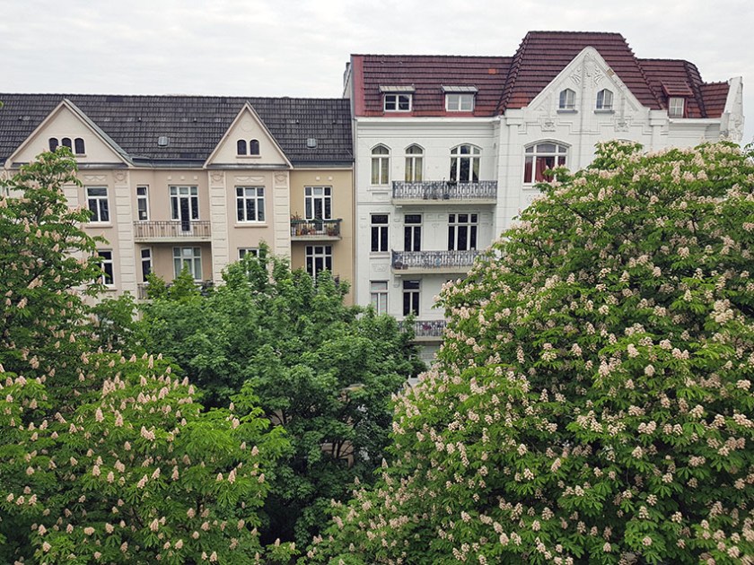 (c) Bianca Gusenbauer-Hoppe (7)