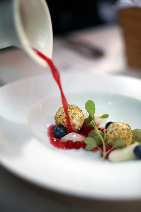 (c) Bianca Gusenbauer-Hoppe (3)